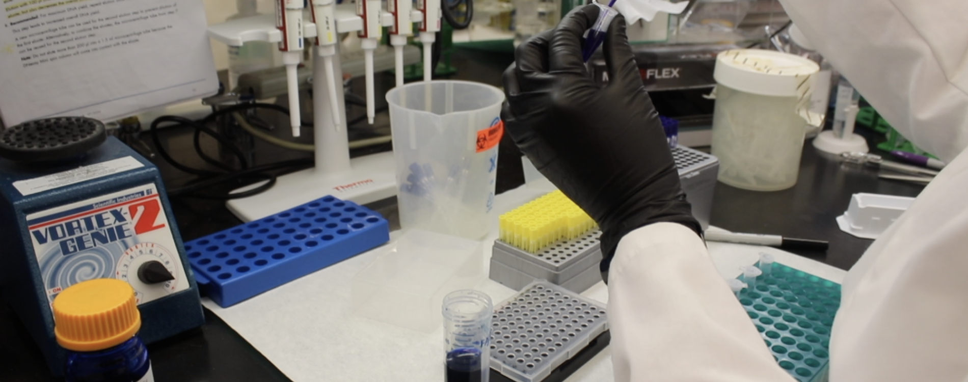 A scientist on Bamshad's Lab
