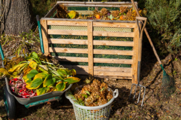 Compost Image